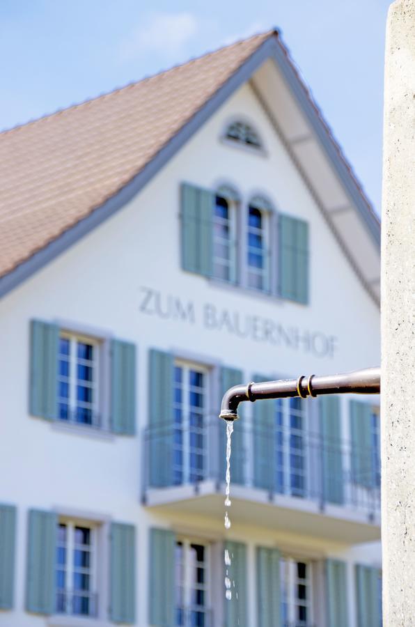 Gasthaus Zum Bauernhof Oberlunkhofen Екстериор снимка